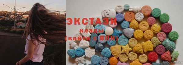шишки Заводоуковск