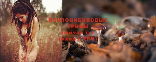 прущий лед Зеленокумск