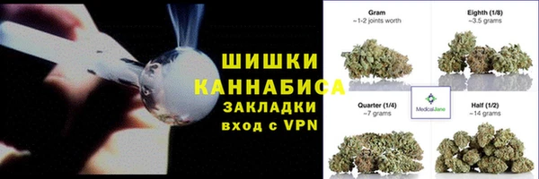 шишки Заводоуковск
