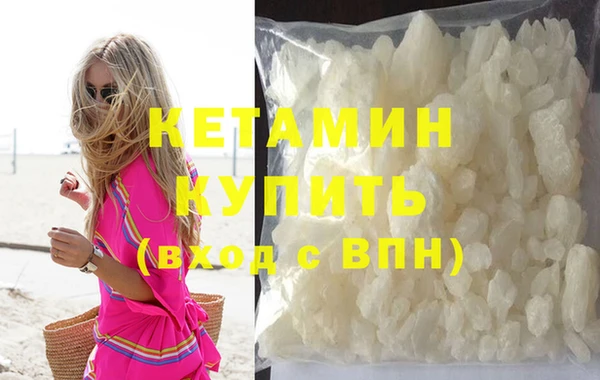 шишки Заводоуковск